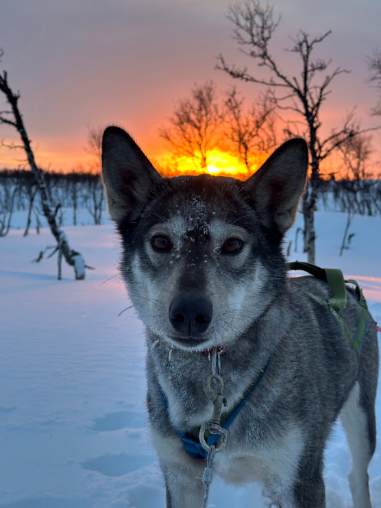 L’aventure en douceur