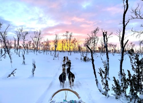 Laponie Séjour Découverte