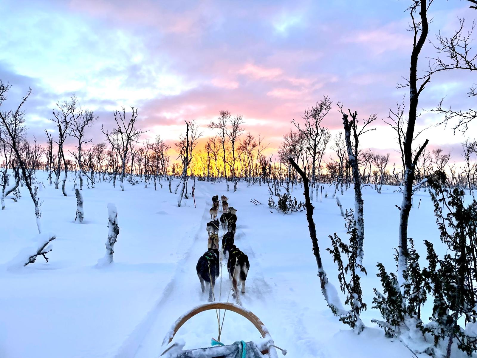 Premiers pas au cœur du Grand Nord
